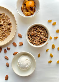 Apple Crumble with Ice Cream