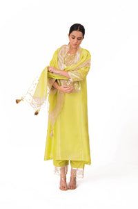 LILA - Lime Green - Banarasi Yoke Kurta Set